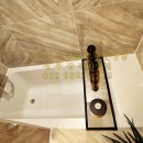 리젤펠리스 이미지