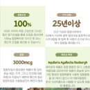 침향전문 네이버블로그