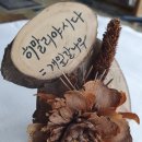 11- 히말리아시다(개잎갈나무) 이미지