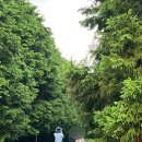 삼거리주유소 화장실 이미지