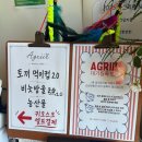 예당저수지 맛집 투어! 초록뷰 가득한 아그리르와 리얼 호수뷰 화이트하우스 주말 데이트 꿀팁