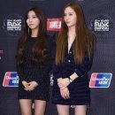 단아한펫 이미지