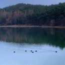 헤라드라이빙무인텔 이미지