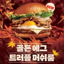 골든에그 이미지