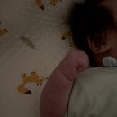 아기곰맘마 이미지