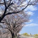 남대천제방길 이미지