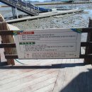 거차뻘배체험장 이미지