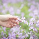 미소카페 이미지