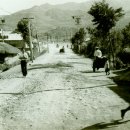 남일약국 이미지