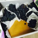 미래펫 동물병원 이미지