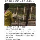 우리동네 한성깔하는 말티있는데ㅋㅋ 이미지