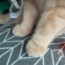 봉우재로33길, 봉우재로43길, 망우로50길 (50) | 9月 일상