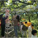 에코왕곡마을 이미지