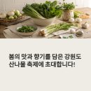 강원도 산나물 축제, 봄 입맛이 살아나는 계절의 맛 여행