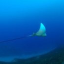 진주무도장 이미지