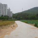 참사랑할인마트 이미지