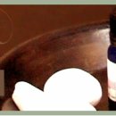 홀론스파 이미지