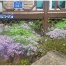 동해민박 이미지