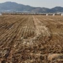 결성면 원교항마을회관 이미지