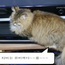 은비농장 이미지