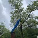 고양시청  체육관 이미지