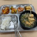 원정간장게장 | 2025년 12월 모음집 2편 : 정강이 조낸 아픔🥹