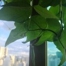 남희농장 이미지