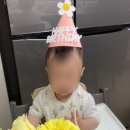 드레스진 이미지