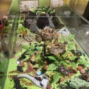 여주곤충박물관 이미지