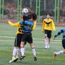 둔촌중학교 이미지