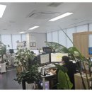 서원세무회계사무소 - 서귀포시 신동로67번길 9 | 서원세무회계사무소