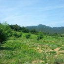 용동축산 이미지