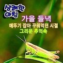 우리들의 황금빛 들녘~ 이미지