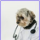 대우동물병원 이미지