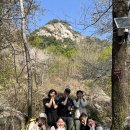 2026.04.11~04.12 산머루산다래 이미지