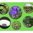 구풍 이미지