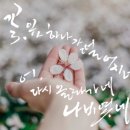 책 속 좋은 글귀 캘리그라피 이미지