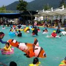 삼동면 동천 이미지