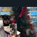 유앤동물의료센터 이미지