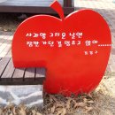 이야기가 있는 사과나무 마을 이미지