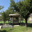 장미빛인생 | 장미빛인생펜션, 수영장과 잔디밭이 있는 안면도 가족펜션