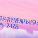 늘푸른공인중개사사무소 이미지