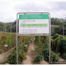 마연농장 Daum카페