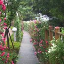 묵동-044 이미지