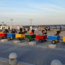 남일초밥식당 이미지