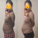 임신마을 | 임신26주_배크기, 엄마랑 전주 한옥마을 1박2일, 황실관광호텔 후기