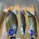 굴비작업 13년차 거영굴비유통 영광보리굴비 그 맛은?! Ft. 찐보리굴비