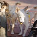 에코세븐 이미지