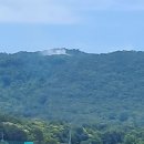 보령청과 이미지