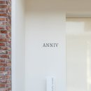 애니브